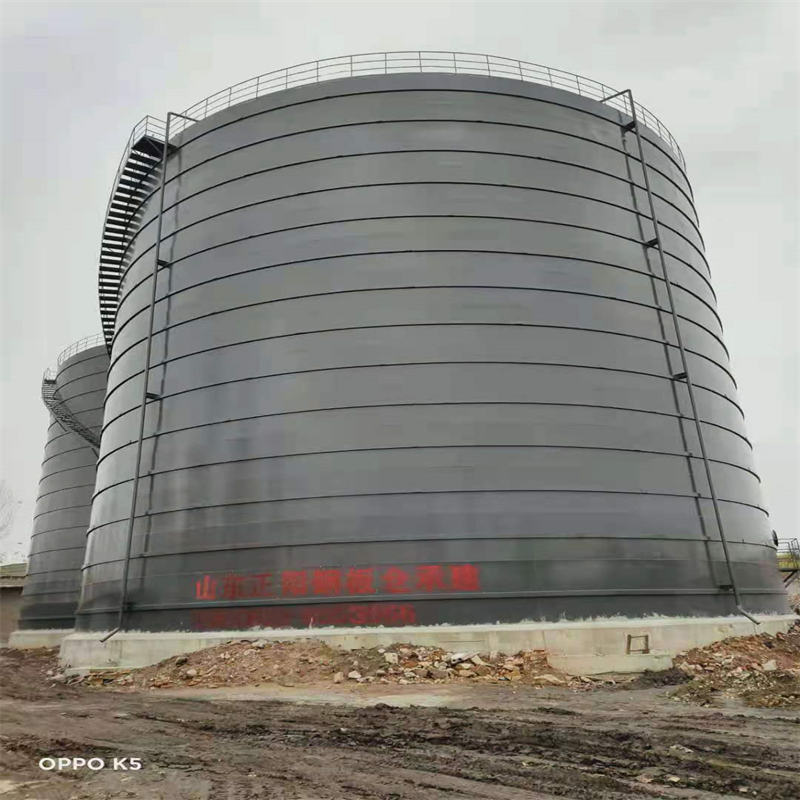 南湖3万吨大型钢板库